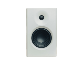 Large Speaker